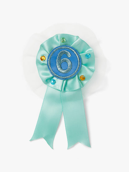 Stych Girls Birthday Number Mint Green ribbon Rosette Pin Badge with decorative tulle and gems and a number 6 in the centre. 